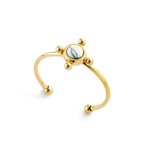 Creative Gold Plated Stainless Steel Rings