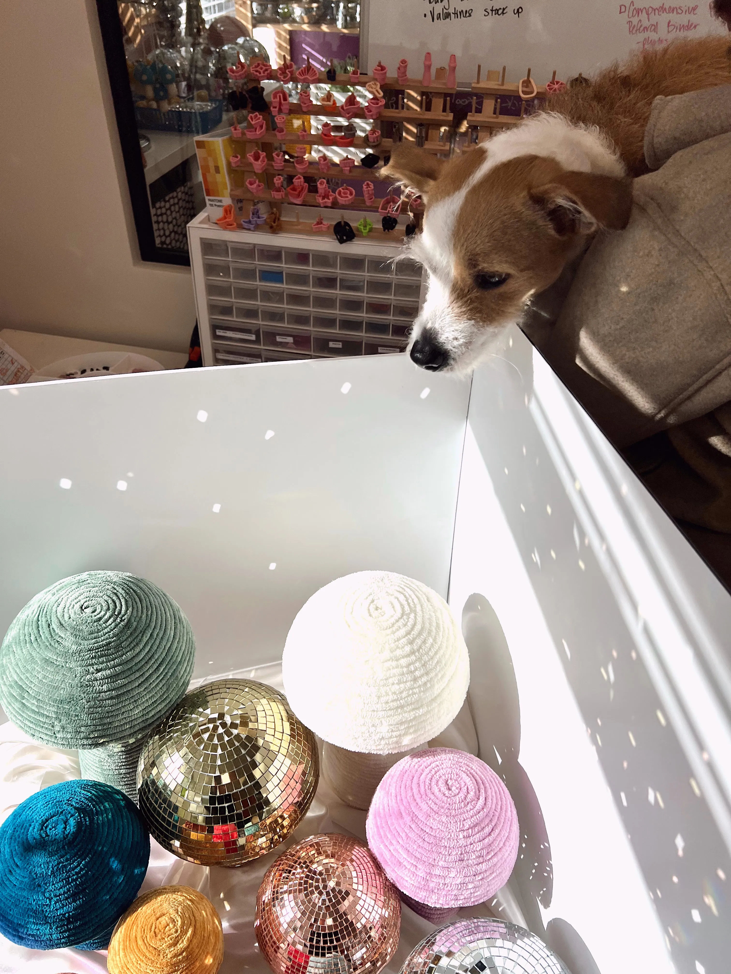 Customizable Velvet   Disco Shroomie Trio