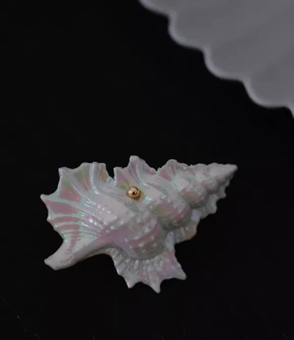 Handmade ceramic brooch, ocean friend shell conch, unisex
